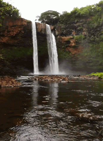 ecosurvey falls