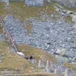 Diga Piazzette Torremoncurtil Torino