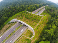 Costruzioni stradali Green Public Procurement