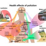 Analisi di rischio sanitario ambientale