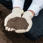 Limiti test di cessione