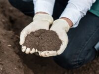 Limiti test di cessione