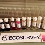 Bonifica di terreni ed acque sotterranee mediante ossidazione ISCO
